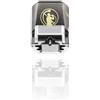 GOLD NOTE VASARI GOLD TESTINA PHONO MM NUOVA