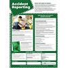 Daydream Education Segnalazione incidenti | Salute e sicurezza Poster | Carta lucida laminata 850mm x 594 mm (A1) | Cartelle per la salute e la sicurezza Ufficio e Commerciale | Schede educative by