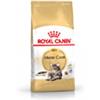 Royal Canin Maine Coon 31 - Sacco da 10kg.