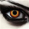 DESIGNLENSES, Lenti a contatto colorate arancia per costume di Halloween da mannaro, senza gradazione, 1 paio (2 pezzi), morbide lentes colore + custodia per lenti Orange Werewolf