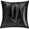 Vielit Set di 2 Federe Raso 65x65cm, Design con Chiusura Cerniera, Morbido come una Federe Seta Cuscino, Federe Cuscini 65x65 Nero