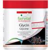 Fairvital | Glicina in polvere 500g - Amminoacido - 100% Glicina Pura in Polvere senza additivi - Vegan