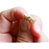 Asai Bolivien Ethno Tribal Manufaktur ◦-●◉ஐ SPINA DECORATIVA DRAGONFLY IN ACCIAIO INOSSIDABILE ORO ஐ◉●-◦ spina per orecchini antiallergica color oro