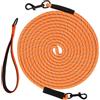 Taglory Lungo guinzaglio da addestramento per Cani, Nylon Riflettente Lunghina Cane con Due Moschettoni, 5m Arancione