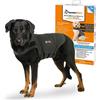 ThunderShirt Dog Gilet Grigio XL