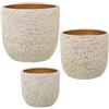 DRW Set di 3 vasi in ceramica in bianco e oro craquelé 30 x 30 x 28 cm