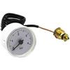 Mondo Viro Manometro idrometro 1/4 IMM1032363 ricambio originale per caldaie Immergas