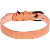 Flamingo Collare LEANO Nero Cognac M/L 38-48CM 25MM