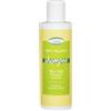 Vividus Tea Tree Sh Seboreg 200ml