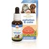 Bush Flower Essences Fiori Australiani Agitation & Calm Per Uso Veterinario Gocce 30 ml