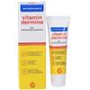 Ist.ganassini Vitamindermina Gel Anti Sfreg