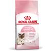 Royal Canin Cat Adult e Kitten Mother and Babycat 2