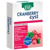 ESI SRL Esi Cranberry Cyst 30 Ovalette