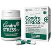 INNOVET ITALIA SRL Condrostress + Cat 30 Capsule Monodose