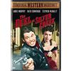 Film in DVD