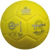 Trial Pallone pallamano trial ultima 30-3 approvato figh
