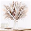 LZGS Go Swing Bands Fiori secchi decorativi Bouquet Erba Della Pampas Decorative 40-44 cm di fiori secchi naturali fai da te Ideale per il soggiorno Boho Camera da letto e vasi (LZGSGO-0104)