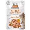 BRIT CARE Cat Kitten Filetti in salsa con salmone piccante saporiti e arricchiti con olivello spinoso e nasturzio 85g