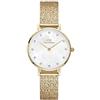 Daniel Wellington orologio solo tempo donna Daniel Wellington Petite trendy cod. DW00100594