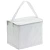 Borsa refrigerante termica personalizzata Cooled personalizzate o neutre