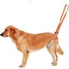 RIDONG Imbracatura portatile per cani per zampe posteriori - Pettorina per cani con manico - adatta per attività e cani anziani - confortevole, traspirante e facile da regolare