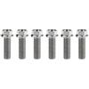 Yaruijia Bullone in titanio M8 x 15 20 25 30 35 40 45 50 55 60 65 mm piccole viti a testa esagonale flangiata per parti di moto Pich 1,25 mm, confezione da 6 (M8 x 20 mm, titanio)