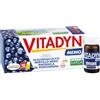 Phyto Garda Vitadyn - Memo Integratore Alimentare, 10 Flaconcini