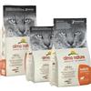 *Almo Nature Almo Holistic Cat Fresh Pesce Azzurro Riso 400Gr 604 Minsan 913208450