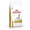 *Royal Canin Diet Urinary Dog 2Kg Minsan 910444001