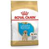*Royal Canin Rc Lr Junior 33 12Kg Labrador Minsan 912427921
