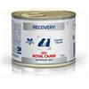 *Royal Canin Diet Recovery Cane E Gatto 195Gr Minsan 912428149