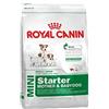 *Royal Canin Rc Mini Starter M&B 1Kg Minsan 921504597