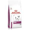 *Royal Canin Diet Renal Small Dog 500Gr