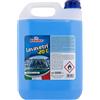 Rhutten Lavavetri invernale antigelo -20°C 5 lt per vaschette tergi fari