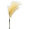 Henriette pianta ornamentale pampas Ø 30 h.105 cm cod.D16554
