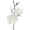 Henriette pianta ornamentale Magnolia Bianca Ø 25 h.90 cm cod.D16531