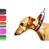 bub's Collare Martingale - Collare per cani di taglia grande/media. Progettato per tutti i tipi di razze di cani e in particolato per levrieri (controllo dimensione: collo 30-50). (Rainbow)