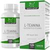 Mindful Matter MM Teanina | 400mg di L Theanine per Dose | L Teanina Integratore ad Alta Potenza - 120 Capsule di L-Theanine da Tè Verde - | Non-OGM, Senza Glutine e Allergeni | Prodotto nel Regno Unito