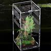 Nizirioo Terrario acrilico a 360° per terrario a lumache: Nizirioo 12 x 12 x 20 cm, contenitore di alimentazione rettile, mini terrario in acrilico trasparente, per spide, scorpione, adoratrice