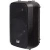 ITALIAN STAGE IS FRX10AW - cassa bluetooth a batteria con radiomicrofono, lettore mp3, scheda sd, usb e radiocomando