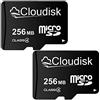 Cloudisk Piccola Capacità 2Pack 256MB (NON GB) Micro SD Card con adattatore SD Scheda di memoria MicroSD per piccoli dati, file, pubblicità o promozione (troppo piccola per qualsiasi video)