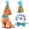YODOOLTLY Cappello di compleanno per cani, set con cappello e collare con papillon e numero, riutilizzabile, per cuccioli di gatto, costumi e accessori decorativi per feste (azzurro)