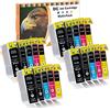 D&C Cartuccia d'inchiostro compatibile per Canon PGI-5 CLI-8 per Canon Pixma MP530 MP600 MP600r MP610 MP800 MP800r MP810 MP830 MP970 MX700 MX850 iP3300 iP3500 iP4200x iP4300 iP4500x iP5200 (20-Pack)