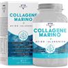BALANCE NUTRITION COLLAGENE MARINO® - 200 Compresse (fino a 7 mesi di fornitura) con Acido Ialuronico | Collagene di tipo I, II e III con Complex di 7 attivi, Ovomet®, Vitamina C e Coenzima Q10