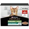 Pro Plan Purina Pro Plan Nutrisavour Kitten Umido Gatto con Tacchino, 10 confezioni da 85g