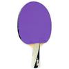 GEWO Racchetta da ping pong PS Blast Control - Racchetta da tennis professionale approvata ITTF, racchetta prefabbricata con rivestimento Thunderball controllato 2 e caratteristiche di rotazione