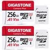 Gigastone Micro SD 256 GB, Camera Plus, Set da 2, A1 U1 C10 UHS-1, Per GoPro Fotocamera Videocamera, Velocità Fino a 100/60 MB/Sec(R/W), con Adattatore Scheda SD