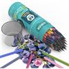 Koilox 48 Colori Splendide Matite a Base di Olio Cancellabili Set di Matite Colorate per Disegno, Matite Colorate Professionali per Bambini, Adulti, Principianti e Artisti, Forniture Artistiche per