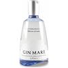 Gin Mare Mediterranean Gin 0,70