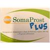 Somaprost Plus 20 Stick